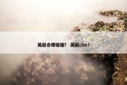 英超合理碰撞？ 英超che？