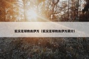 实况足球教练伊万（实况足球教练伊万简介）