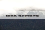 秦皇岛校足球队（秦皇岛市足球学校属于哪个区）