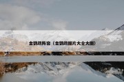 金鹦鹉阵容（金鹦鹉图片大全大图）