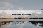 皮亚球衣号码，皮亚尼奇进球