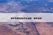 西甲专用足球名字大全集？ 西甲名称？