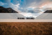 球员保险（球队保险）