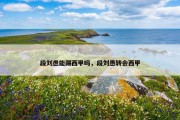段刘愚能踢西甲吗，段刘愚转会西甲