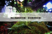 网红男童鞋切尔西？ 切尔西男靴价格？