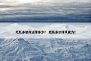 厄瓜多尔共进球多少？ 厄瓜多尔球队实力？