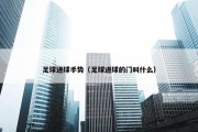 足球进球手势（足球进球的门叫什么）