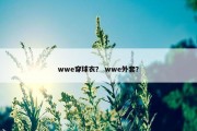 wwe穿球衣？ wwe外套？