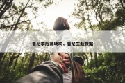 鲁尼季后赛场均，鲁尼生涯数据