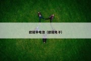 欧冠辛电池（欧冠电子）