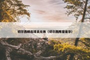 切尔西精选球员兑换（切尔西阵容豪华）
