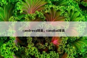 candreva球员，canabal球员