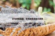 乒乓球赛美国，乒乓球赛美国大满贯