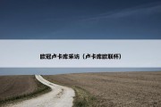 欧冠卢卡库采访（卢卡库欧联杯）