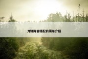 刀锋阵容搭配的简单介绍
