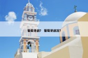 葡萄牙战？ 葡萄牙战况？