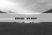 曼城斯佳丽？ 曼城 斯特林？