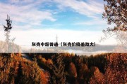 灰壳中超普通（灰壳价格差距大）