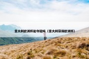 意大利欧洲杯能夺冠吗（意大利获得欧洲杯）