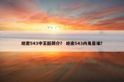 绝密543中王超简介？ 绝密543内鬼是谁？