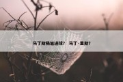 马丁斯杨旭进球？ 马丁·里斯？