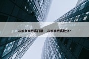 灰熊争季后赛门票？ 灰熊季后赛比分？