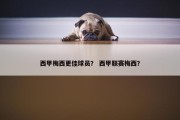 西甲梅西更佳球员？ 西甲联赛梅西？