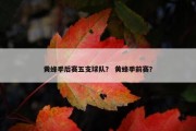 黄蜂季后赛五支球队？ 黄蜂季前赛？