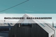 森纳怎么没有进去欧冠？ 森纳怎么没有进去欧冠世界杯？