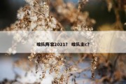 暗队阵容2021？ 暗队主c？