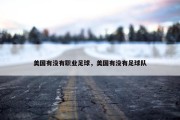 美国有没有职业足球，美国有没有足球队