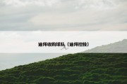 迪拜收购球队（迪拜控股）