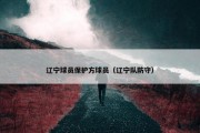 辽宁球员保护方球员（辽宁队防守）