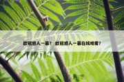 欧冠感人一幕？ 欧冠感人一幕在线观看？