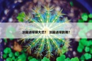 法国进球摆大巴？ 法国进球跳舞？