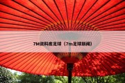 7M资料库足球（7m足球新闻）