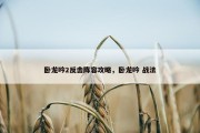 卧龙吟2反击阵容攻略，卧龙吟 战法