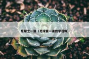 足球之一课（足球第一课教学视频）