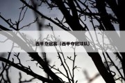 西甲夺冠赛（西甲夺冠球队）