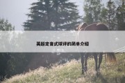 英超定音式球评的简单介绍