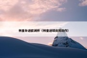 林皇补进欧洲杯（林皇进球庆祝动作）