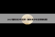 2017国际青少年足球（国际青少年足球锦标赛）
