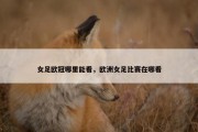 女足欧冠哪里能看，欧洲女足比赛在哪看