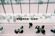 里踢足球大全？ liv足球？