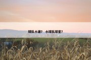 球队小建？ 小球队球星？