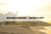 西多夫因效力过哪些球队？ 西多夫是什么水平？
