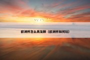 欧洲杯怎么男友聊（欧洲杯如何玩）