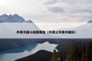 丹麦中国小组赛赛程（丹麦公开赛中国队）