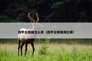西甲在泰国怎么看（西甲在哪里踢比赛）