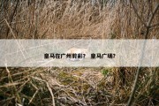 皇马在广州剪彩？ 皇马广场？